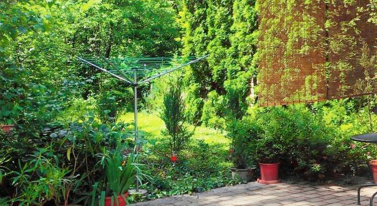 Charming holiday apartment | Pet-friendly — photo 5