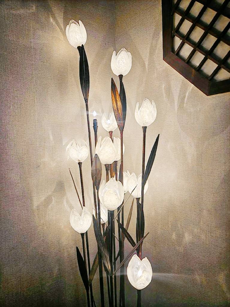 foto22