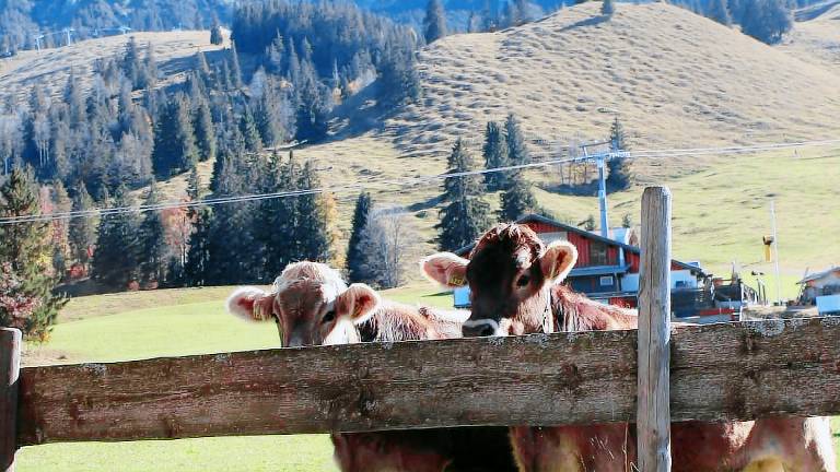Ferienwohnung Oberjoch