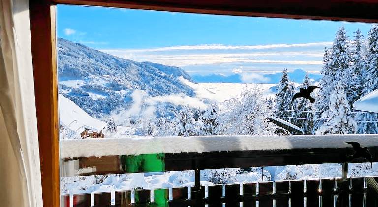 Rental apartment with sauna, grill & terrace in Villach