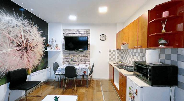 Charming rental apartment | Near Ban Jelačić Square | Dogs allowed — photo 3