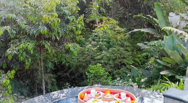 Villa with jacuzzi & pool | Pets are welcome in Tegallalang