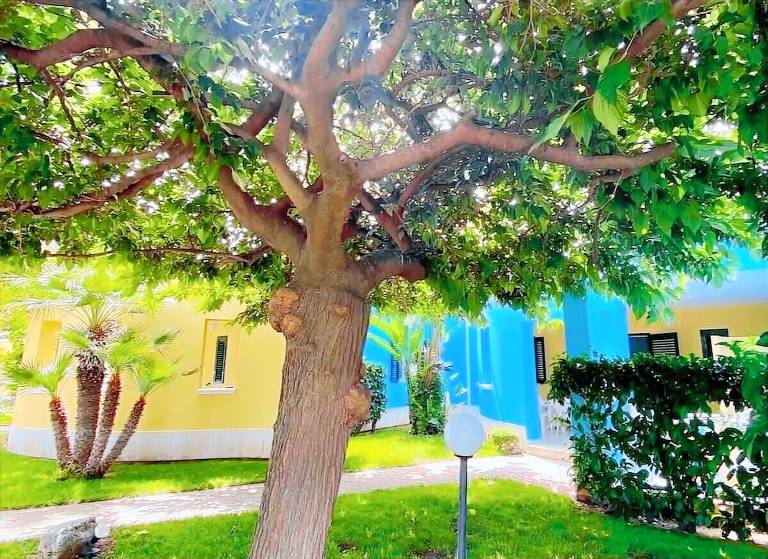 Resort Vieste