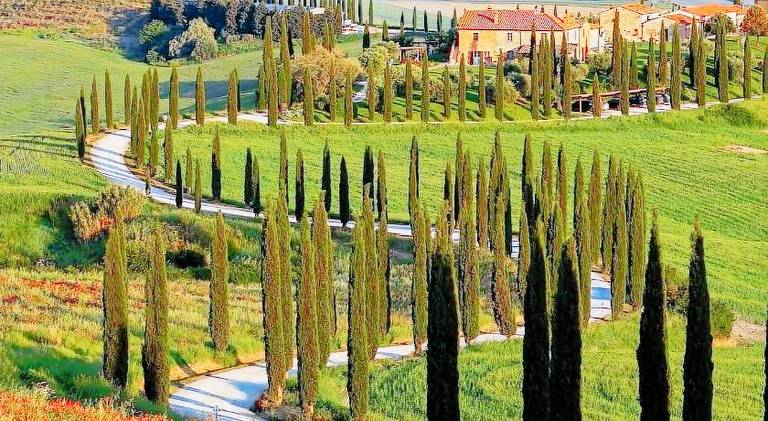 Agriturismo Baccoleno in Asciano
