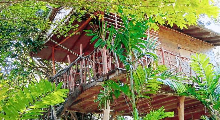 Sigiriya Rock Gate Resort — photo 5