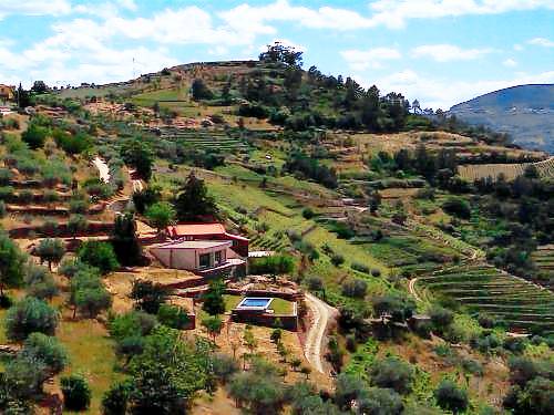 Casa Covas do Douro