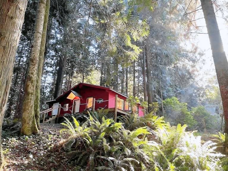 Cabin Port Angeles