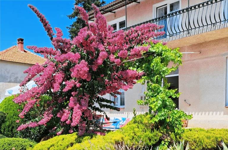 Charming holiday apartment with grill, garden & terrace | Beach nearby | Dogs allowed — photo 3