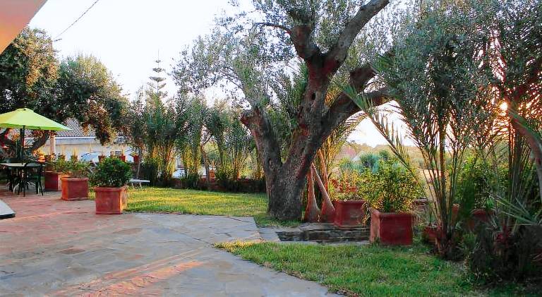 Serviced apartment with pool, patio & garden | Dogs allowed — photo 4