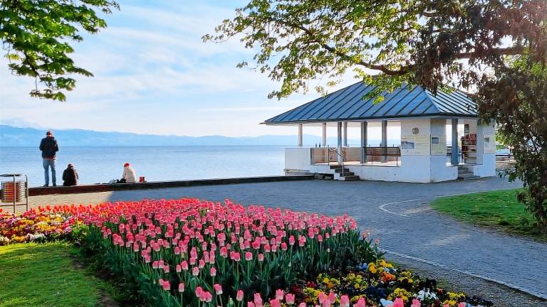 Ferienwohnung  Nonnenhorn