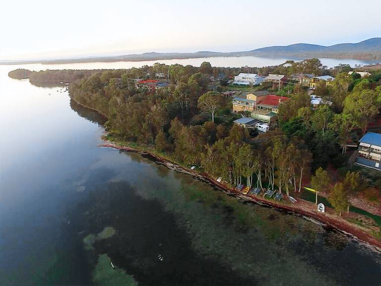Cottage  Coomba Park