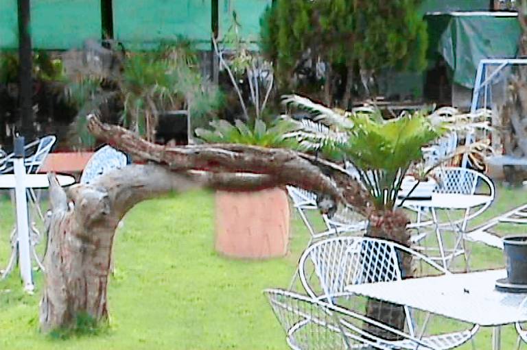 foto5