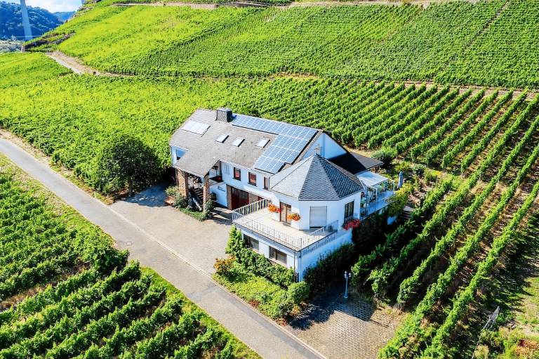Ferienwohnung Winningen