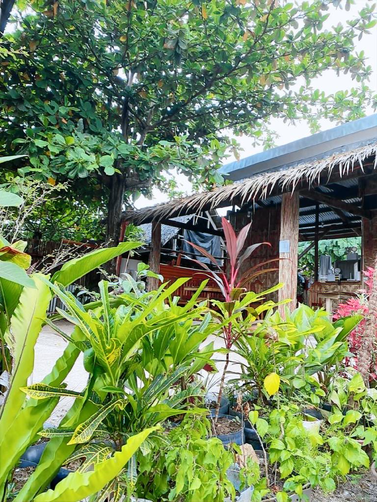 Kabayod Place Unit A1, General Luna Siargao in General Luna
