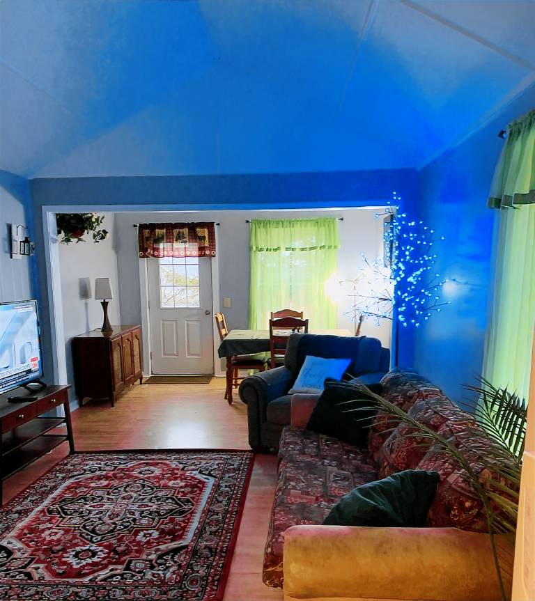 Cabin  Indian River