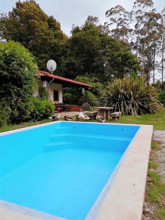 Casa Espinho