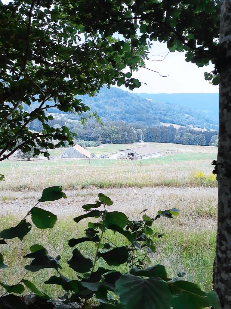 Appartement Saulxures-sur-Moselotte
