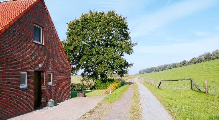 House with 4 rooms for 12 persons in Wilhelmshaven