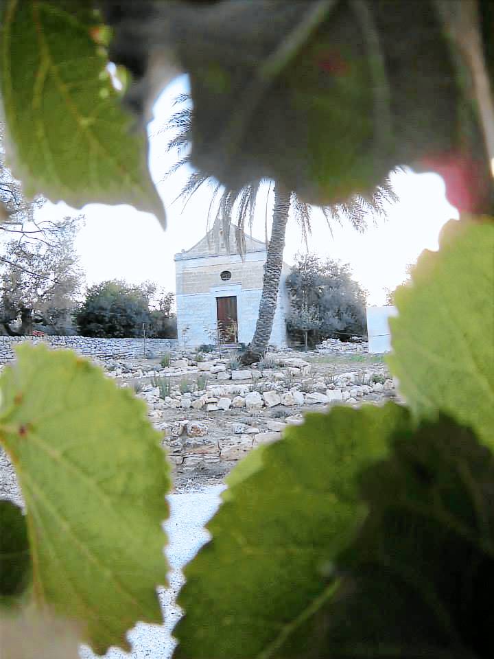 Posta Santa Croce - Ospitalità in Masseria: Cerere — photo 4