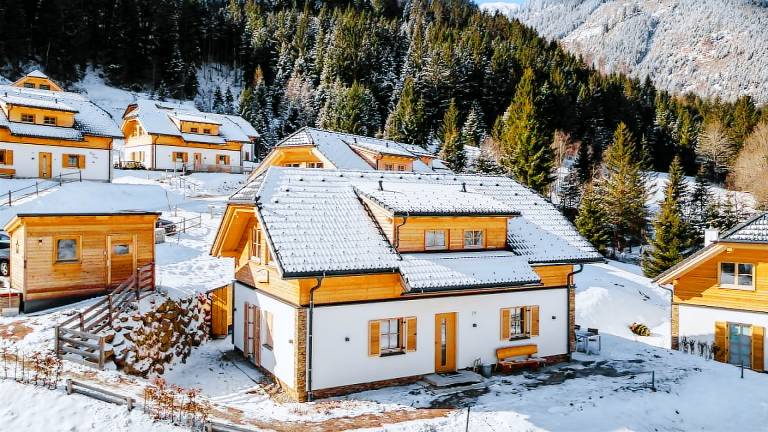 Ferienhaus Donnersbachwald