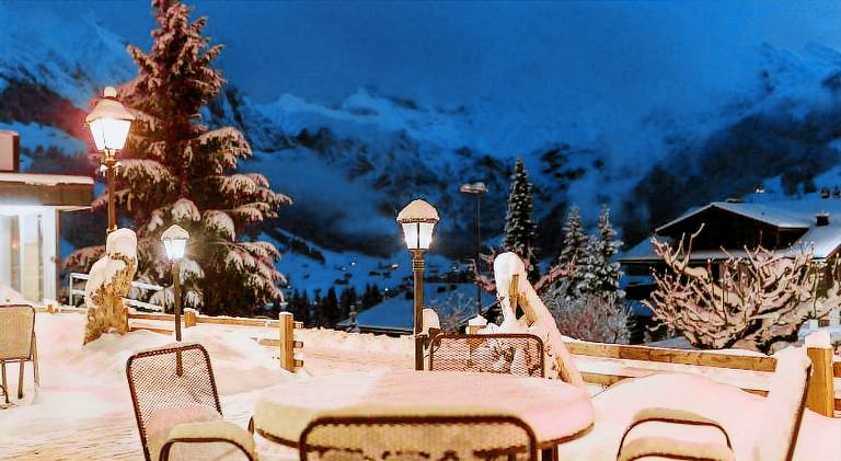 Adler Adelboden — photo 5
