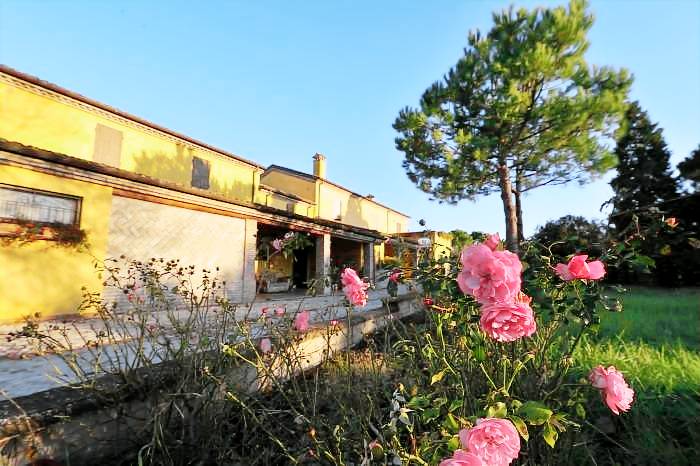 Il Podere del Germano Reale: Appartamento Trilocale Luxury — photo 4