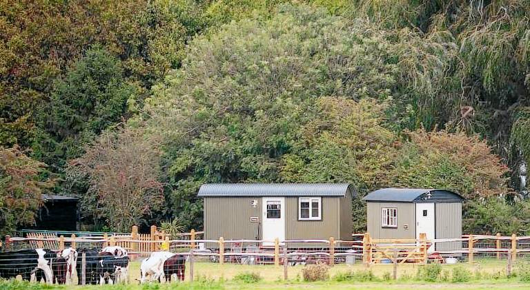 Holiday apartment with 2 rooms for 4 persons in Arundel