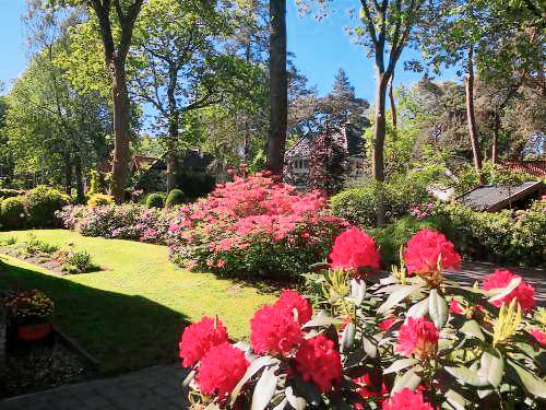 Quarto (B&B)  Ermelo