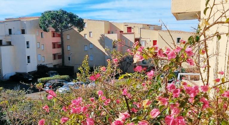 Pleasant apartment | Beach nearby | Dogs allowed in Sète