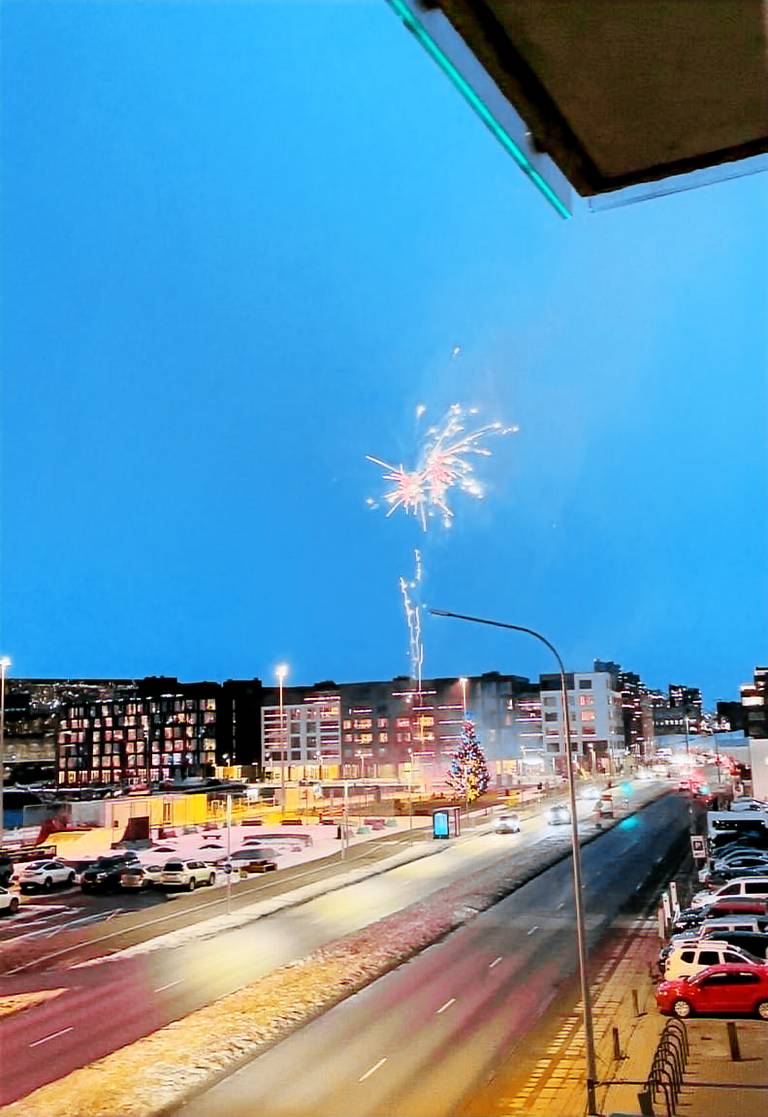 Condo  Reykjavík