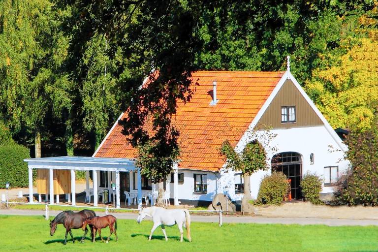Chalet Ootmarsum