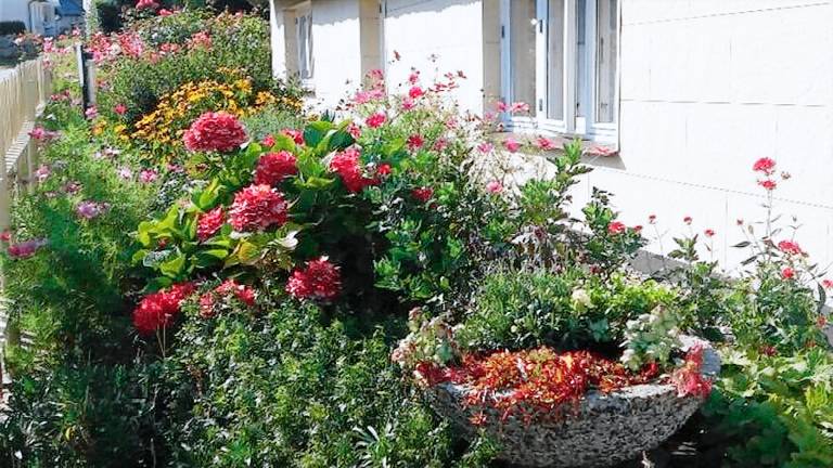 Ferienwohnung Thiessow