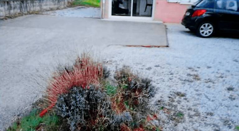 Wonderful holiday apartment | Pets allowed — photo 5