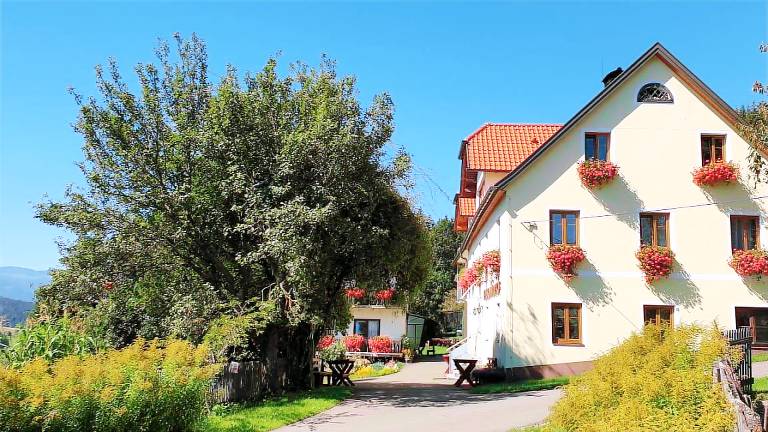 Ferienwohnung Sankt Wolfgang-Kienberg