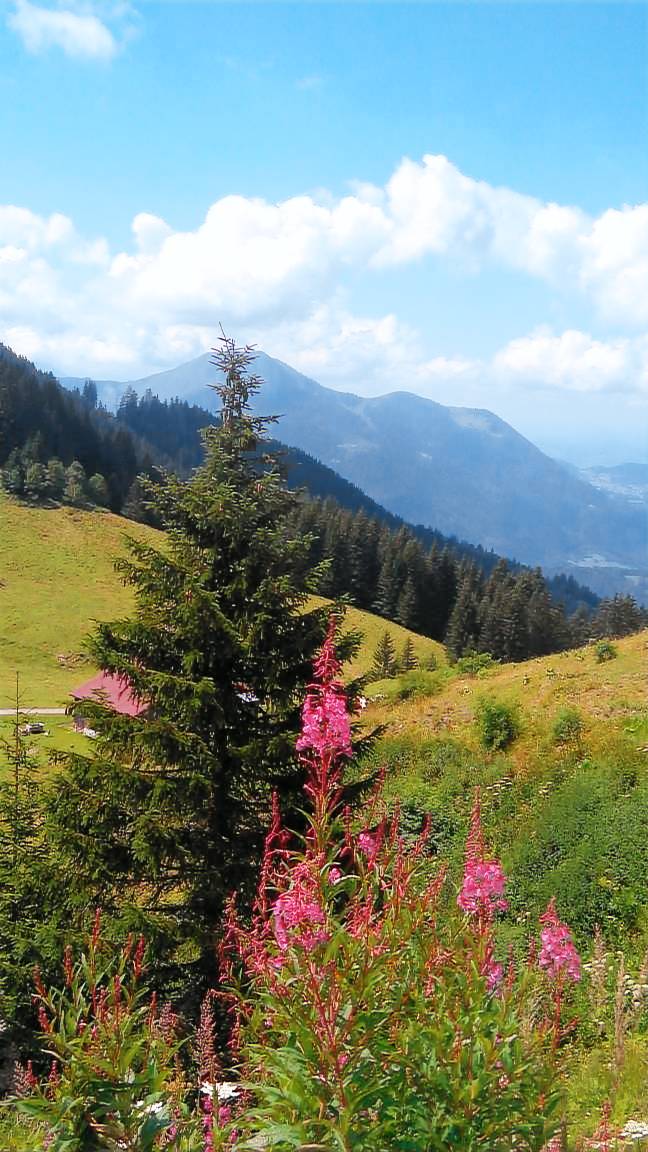 Appartement Le Praz de Lys