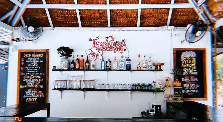 Tropical Hostel — photo 3