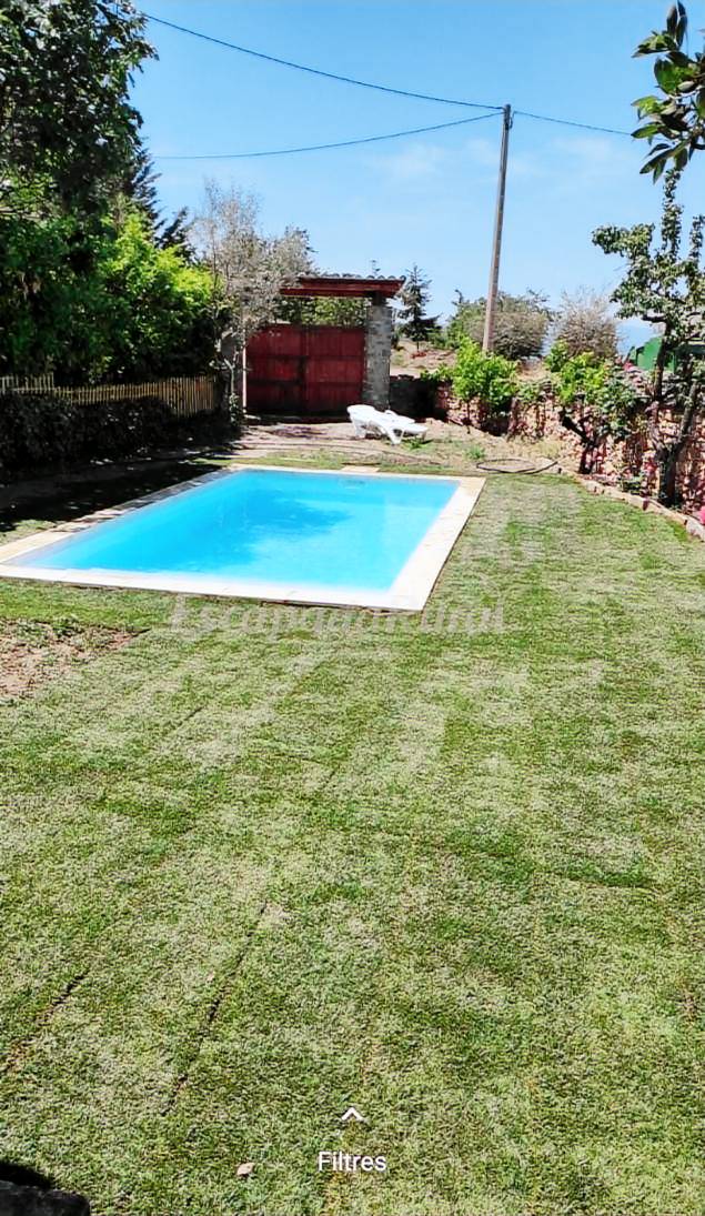 Nice cottage with pool, barbeque & yard | Garden view | Dogs allowed — photo 5