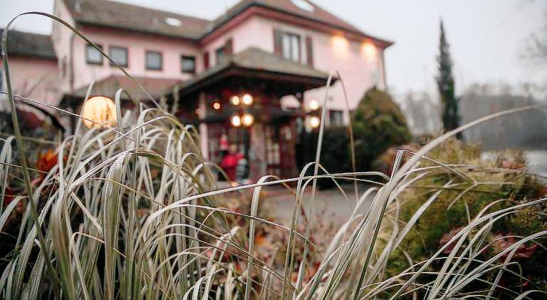 Pension Hubertushof in Bad Duerkheim