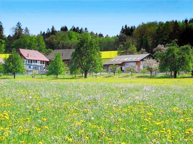 Ferienwohnung  Winterthur