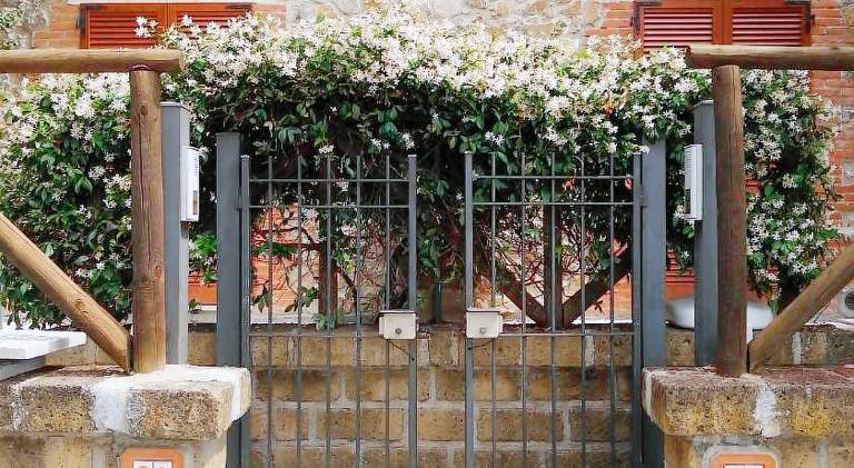 Beautiful rental apartment | Dogs allowed in Manciano