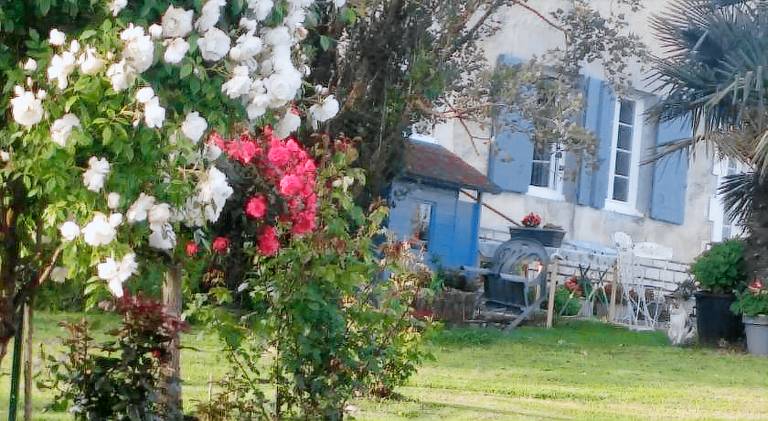 Lovely vacation home | Pet-friendly in Périgueux