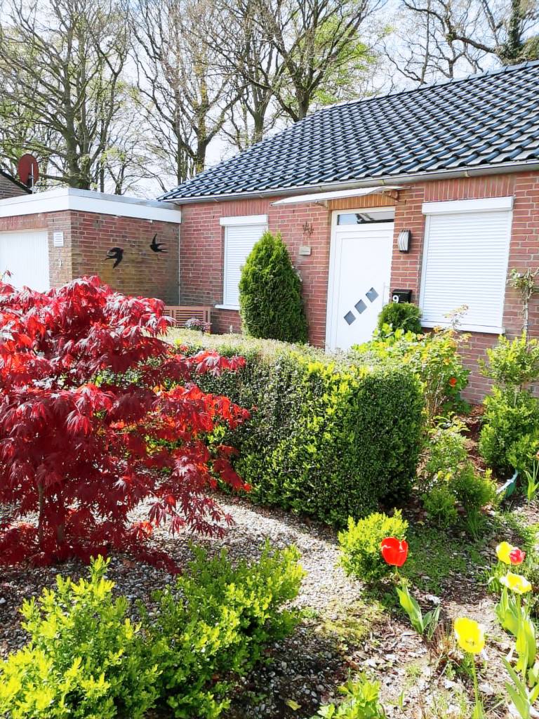 Schwalbennest Ostfriesland