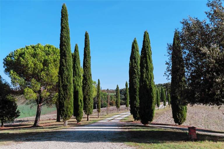 Villa mit Grill, Garten und Pool