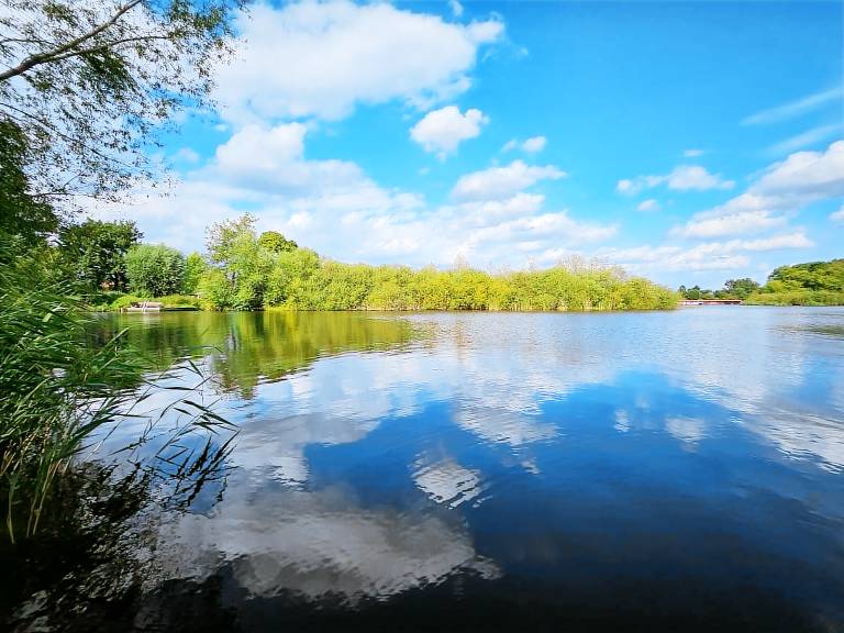 Ferienwohnung Rechlin