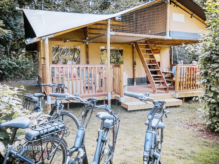 House with terrace & yard in Turnhout
