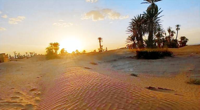 Camp sahara — photo 2