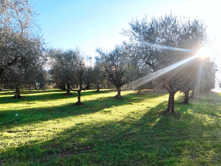 Agriturismo Nerbona: Appartamento Melo — photo 3