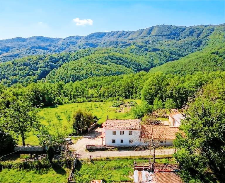 Agriturismo Li Guira – Natura, uliveti ed esperienze autentiche nel Cilento: Il Nido: Ritiro per due nel cuore del Cilento. Camino antico, cucina privata e natura selvaggia per la tua fuga dal caos — photo 2