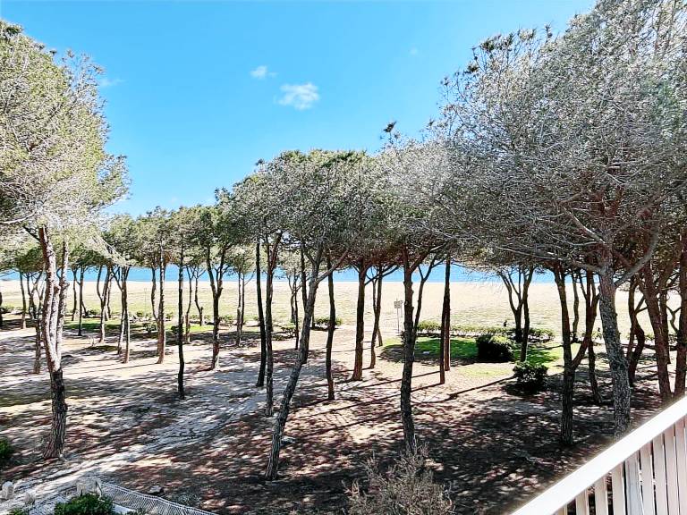 Apartment | Close to the beach | Dogs allowed — photo 4