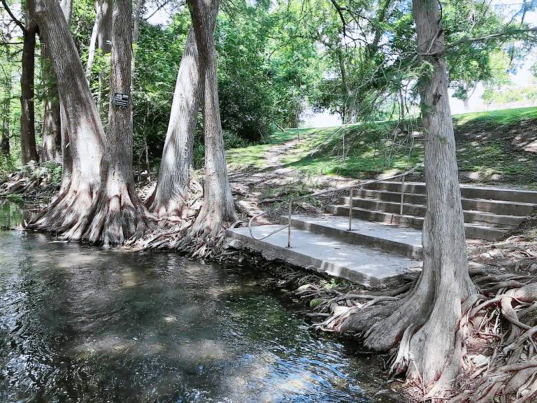 Condo Gruene